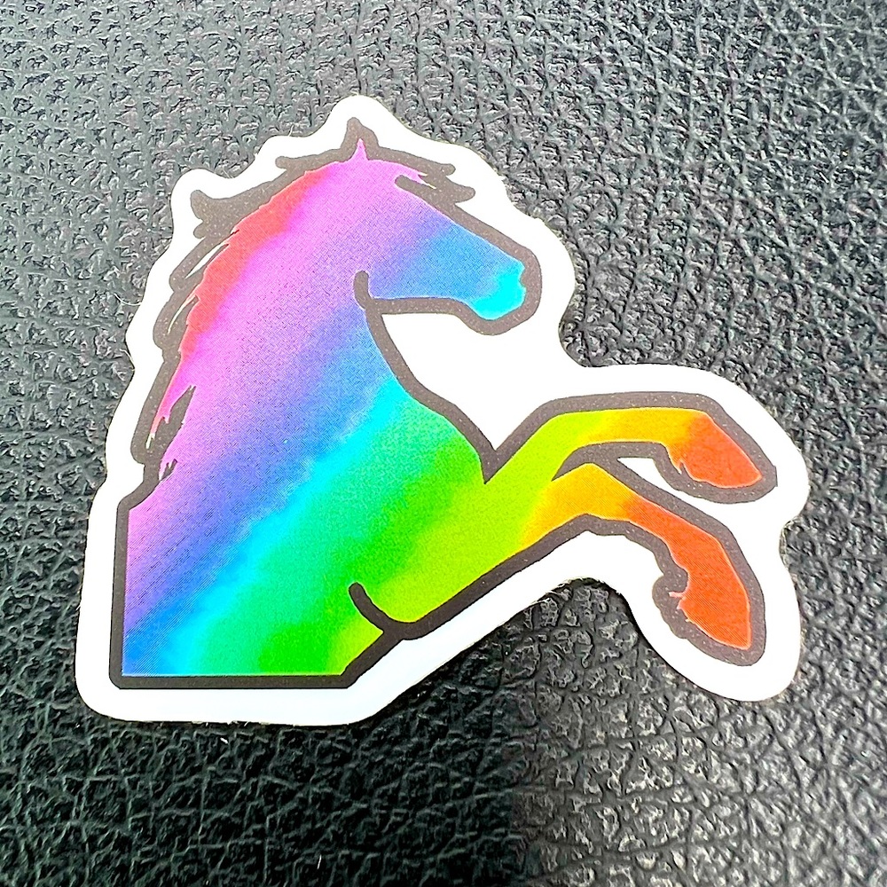 Rainbow Pony Horse Pride Equestrian Cowboy Cowgirl Magic Mystical Sticker